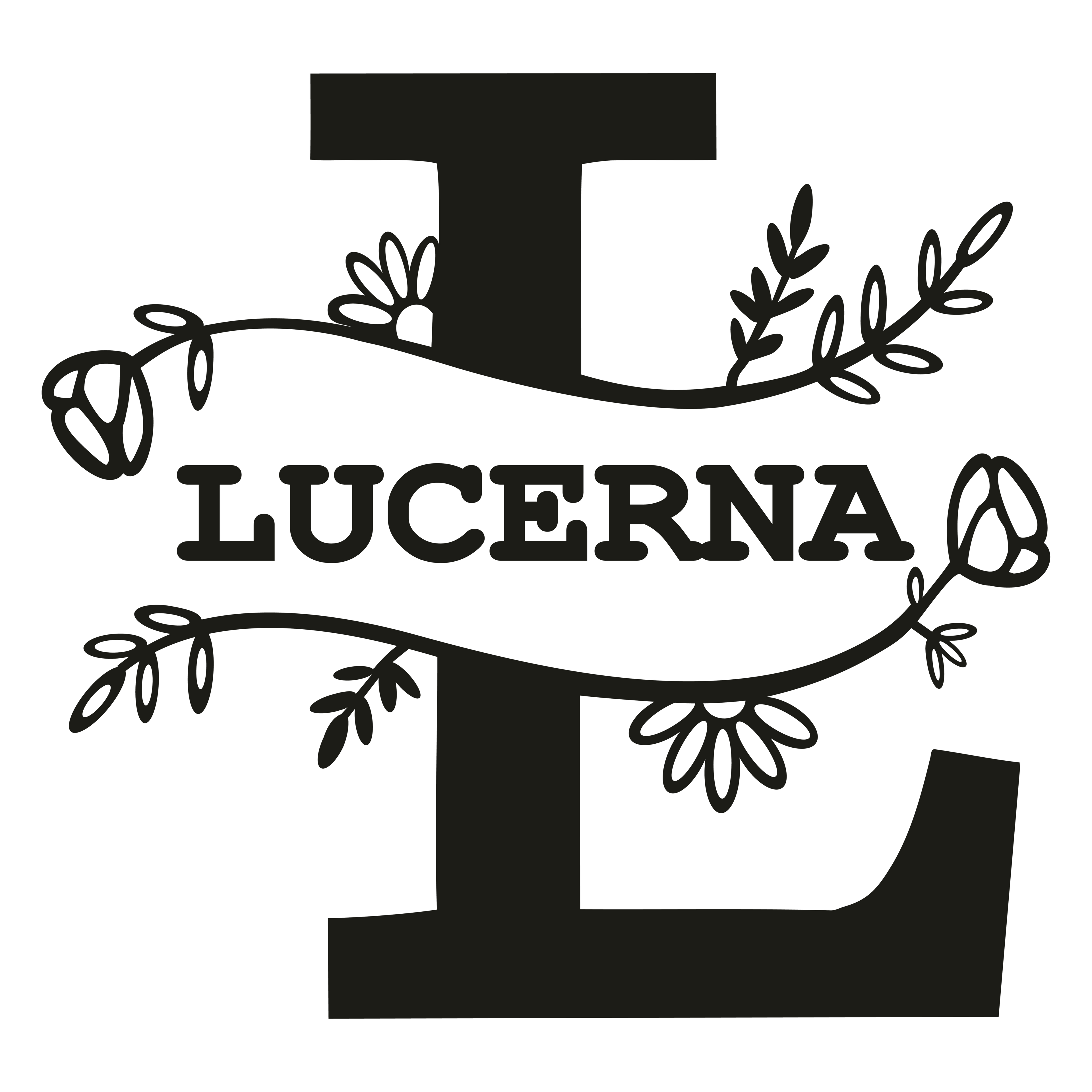 Lucerna Store